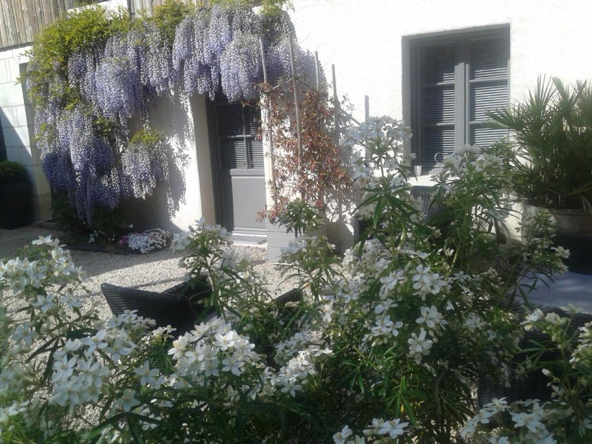 Chambres D'Hotes Rue Du Poids Bourgueil Bagian luar foto
